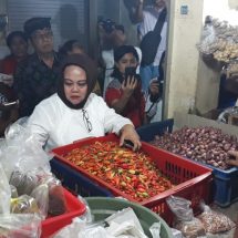 Harga Bawang Melonjak, Staf Ahli Bidang Perdagangan Jasa Kemendag Pantau Stabilitas Harga Kebutuhan Pokok