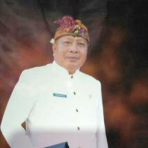Focus Bantu Pangan Warga Lawan Covid-19, Anggota Dewan Imbau Tunda Mega Proyek di Bali