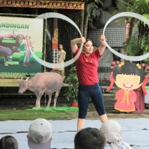 Satwa Endemik Indonesia Ini Meriahkan Perayaan Imlek 2021 di Bali Safari   
