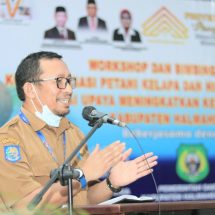 “Parapara Emas”, Strategi Peningkatkan Kesejahteraan Petani Kelapa di Kabupaten Halmahera Barat