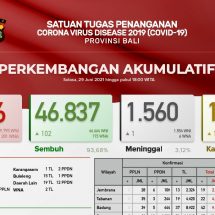 Update Penanggulangan Covid-19 di Bali: Positif 238, Sembuh 102 Orang