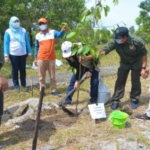 Launching Gerakan KMHDI Menanam, Satu Juta Pohon Siap Ditanam di Seluruh Indonesia