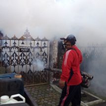 Waspada DBD dan Chikungunya Pemkot Denpasar Kembali Lakukan Fogging di Pemecutan Kelod