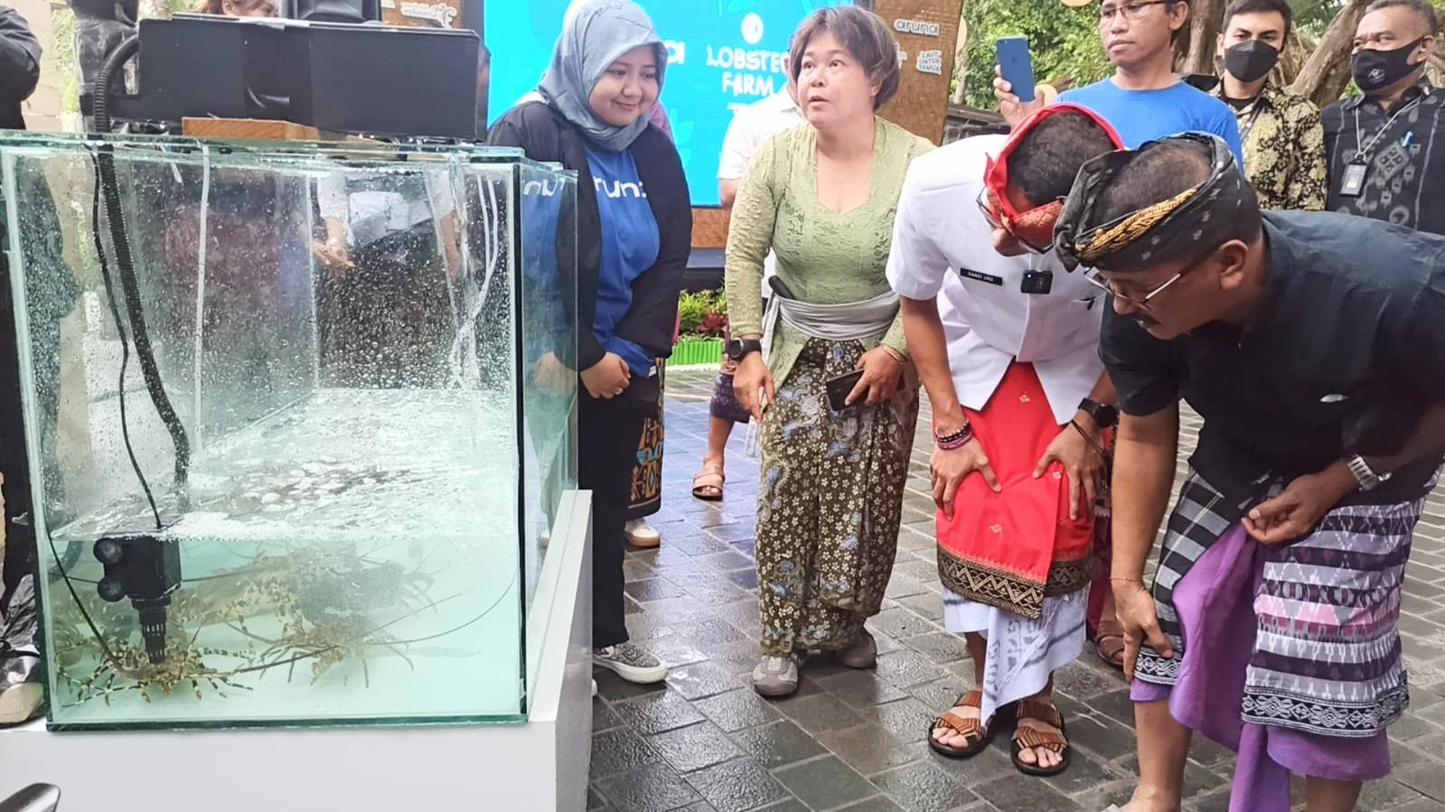 Menparekraf Sandiaga Uno Luncurkan Kampung Wisata dan Budidaya Lobster A Lobster Farm di Bali