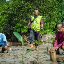 ​Konsistensi HARITA Nickel Dalam Rehabilitasi Mangrove Di Halmahera Selatan