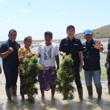 Perkuat Pemberdayaan, BRI Regional Office Denpasar Salurkan Bantuan Sarpras Produksi kepada Klaster Usaha Rumput Laut di Nusa Penida