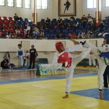 Kejuaraan Taekwondo Walikota Cup XII Dibuka, Diikuti 238 Taekwondoin