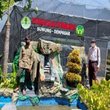 Dosen Fakultas Pertanian Unud Bantu 2500 Bibit Sengon untuk Petani Mayungan