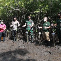 Digitalisasi Kawasan Mangrove Dukung Pengembangan Green Economy