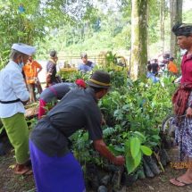 Hijaukan Bali di Perayaan Tumpek Wariga, Pertamina Tanam 500 Pohon