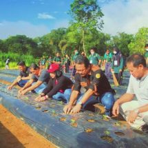 Mengabdi kepada Masyarakat, Himagrotek Unud Gelar Social Education Agroecotechnology