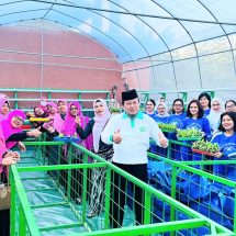 ​BRI Bantu Urban Farming dan Ciptakan Kawasan Hijau di Padangsambian Klod-Denpasar